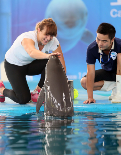 得了广泛的 得了广泛的